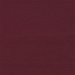 BeetRoot_Brisa-1.jpg