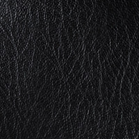 Black-lsk_2.jpg