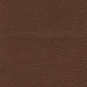 Golden Technology BRISA fabric upgrade Bridle