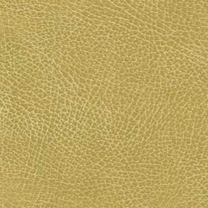 Golden Technology BRISA fabric upgrade Buckskin
