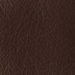 Chestnut-lsk_2.jpg