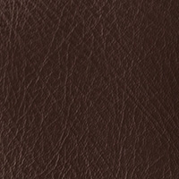 Chestnut-lsk_2.jpg